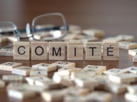 Wijkcomité Steylanden Wijkcomité Steylanden